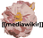 mediawikiR